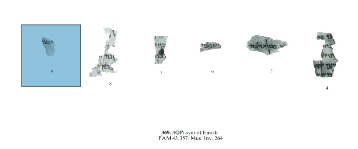 arsteinjustnes's tweet photo. #DailyLoss: #4Q369 (Prayer of Enosh) frg 9   
(DJD 13: plate 37; transcription on p. 362) #LostDeadSeaScrollFragments https://t.co/6L78IIwsFA