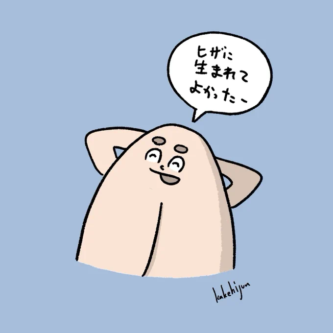 生活が充実してるヒザ