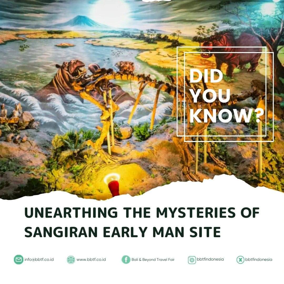 BBTFIndonesia's tweet photo. Historical Significance
Discovered in the 1930s by Dutch anthropologist Gustav Heinrich Ralph von Koenigswald, the Sangiran site has since yielded some of the most important hominid fossils in the world, including numerous specimens of Homo erectus. https://t.co/quX3wWKT7v