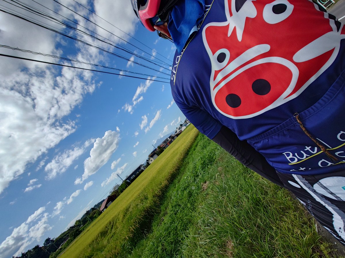 赤べこジャージ (@redbecobeco) / Posts / X