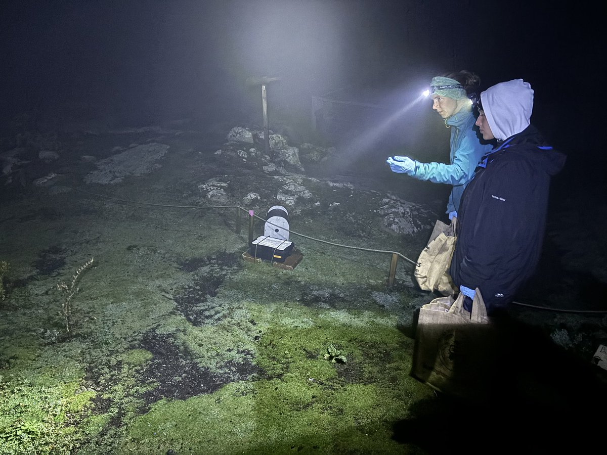 Kathryn Else tweet media