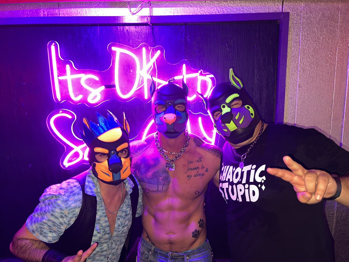 PupSkittlez's tweet photo. Had a blast at a pup escape and got to meet @PupHarlow! It was a blast to hangout with the pups and enjoy the beginning of a great weekend! óÓÒò https://t.co/wPL4BWN1UO