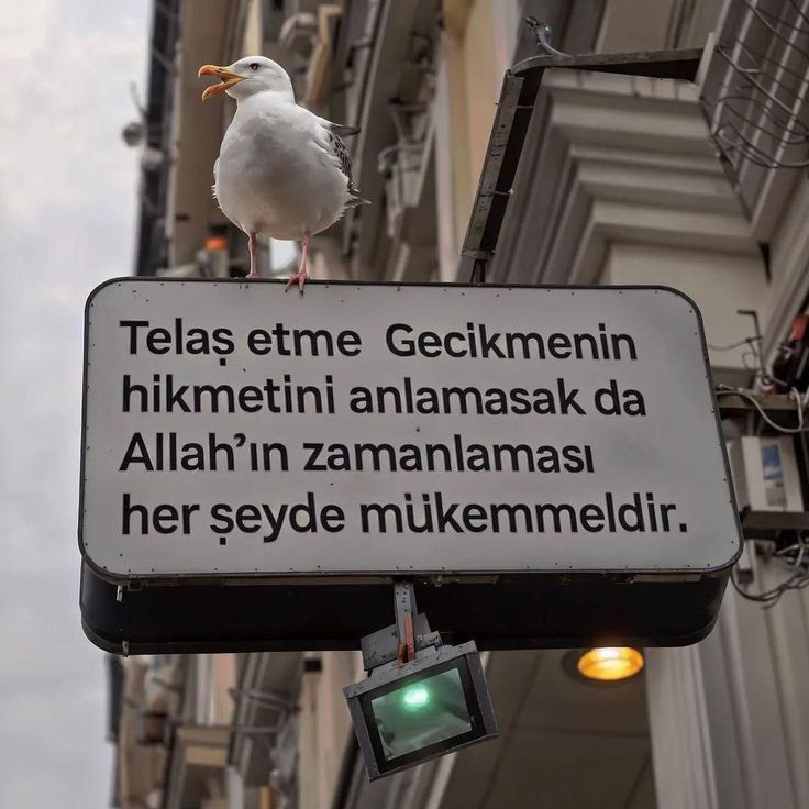 UZİ (@gazatr) on Twitter photo 