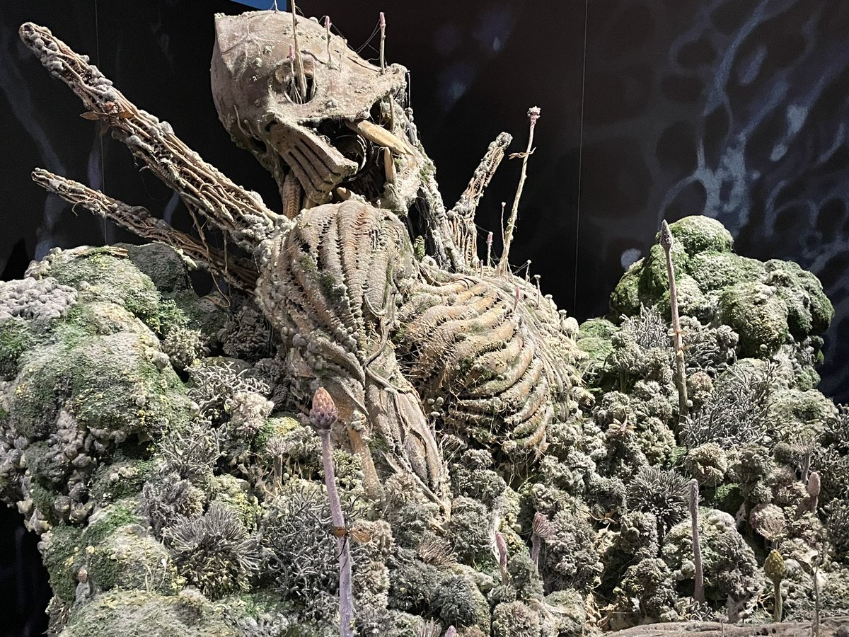 ポストカードみたいに撮れた
#ジブリ