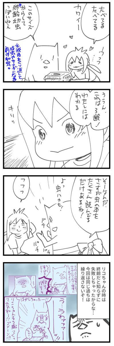 むすめ、イモムシを飼う②(※虫が苦手な方はご注意) https://t.co/tyQ201jg5g 
#育児漫画 #飼育日記 #イモムシ #むすめ雑記帳

まさかの2匹目🐛🐛 