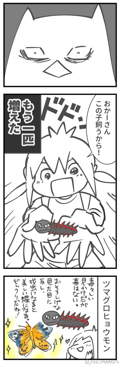 むすめ、イモムシを飼う②(※虫が苦手な方はご注意) https://t.co/tyQ201jg5g 
#育児漫画 #飼育日記 #イモムシ #むすめ雑記帳

まさかの2匹目🐛🐛 