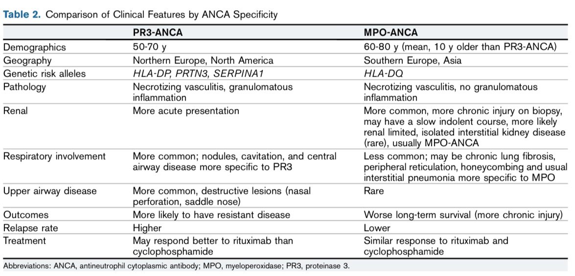 ANCA #Vasculitis PR3 Vs MPO 
[Geetha et Jefferson, AJKD]
#Rheumatology #MedTwitter