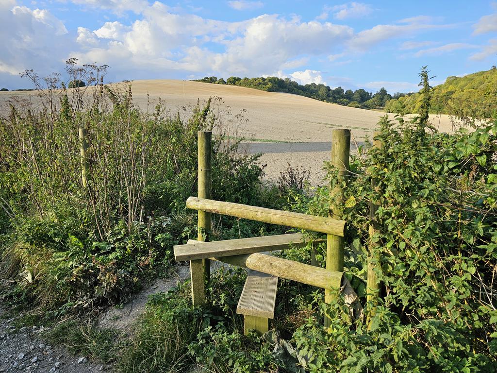 Ben_Alden_'s tweet image. Late summer evening Kent stilin' 😉🌤 #StileSaturday #NorthDownsWay