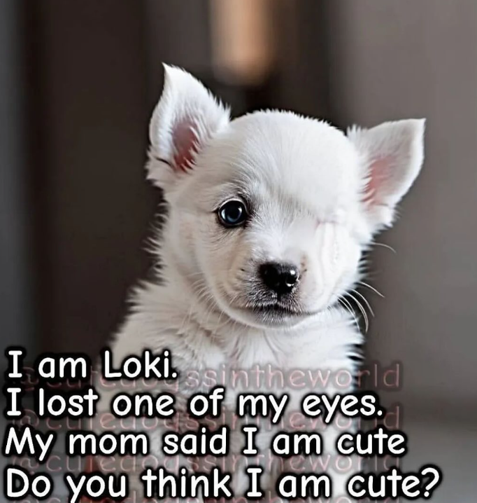 Beyond The Leash tweet media