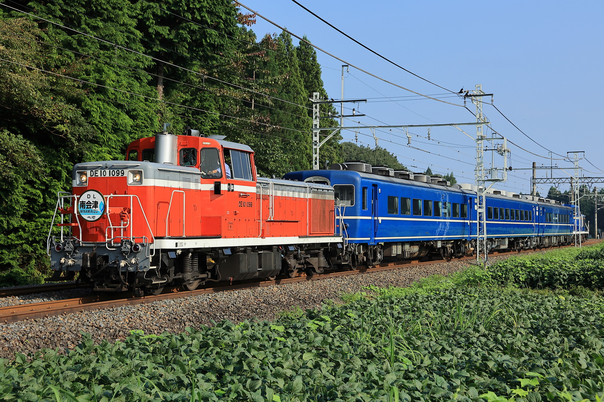 ちゃんぽん烏龍茶 on X: 