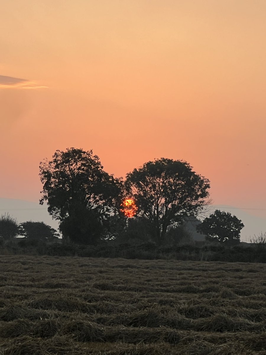 Is_Right's tweet image. The early bird catches the boss sunrise 🌅