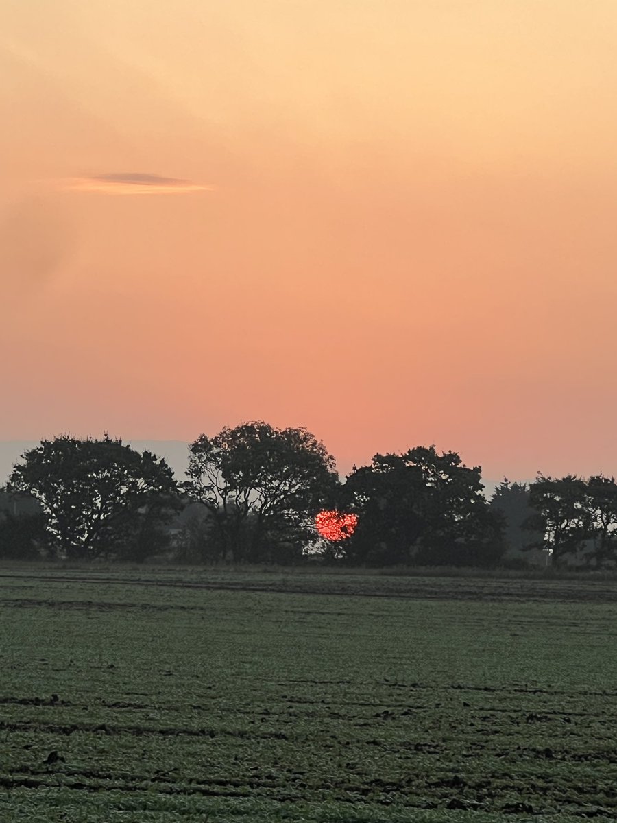 Is_Right's tweet image. The early bird catches the boss sunrise 🌅