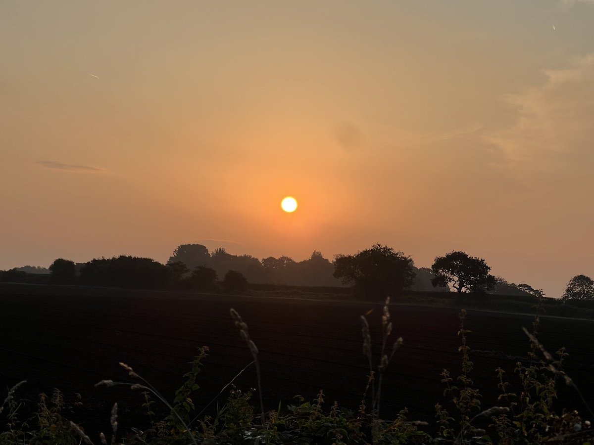 Is_Right's tweet image. The early bird catches the boss sunrise 🌅