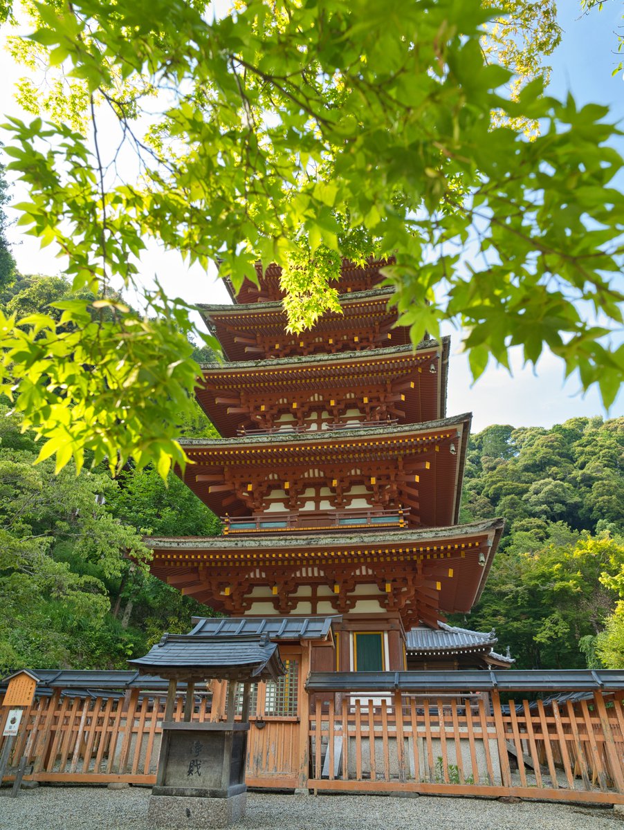 nekoevo_alpha's tweet photo. 夏が終わりに近づく
秋が待ち遠しい長谷寺

#カメラ好きな人と繋がりたい 
#紅葉
#五重塔 https://t.co/N0EX95Yvis