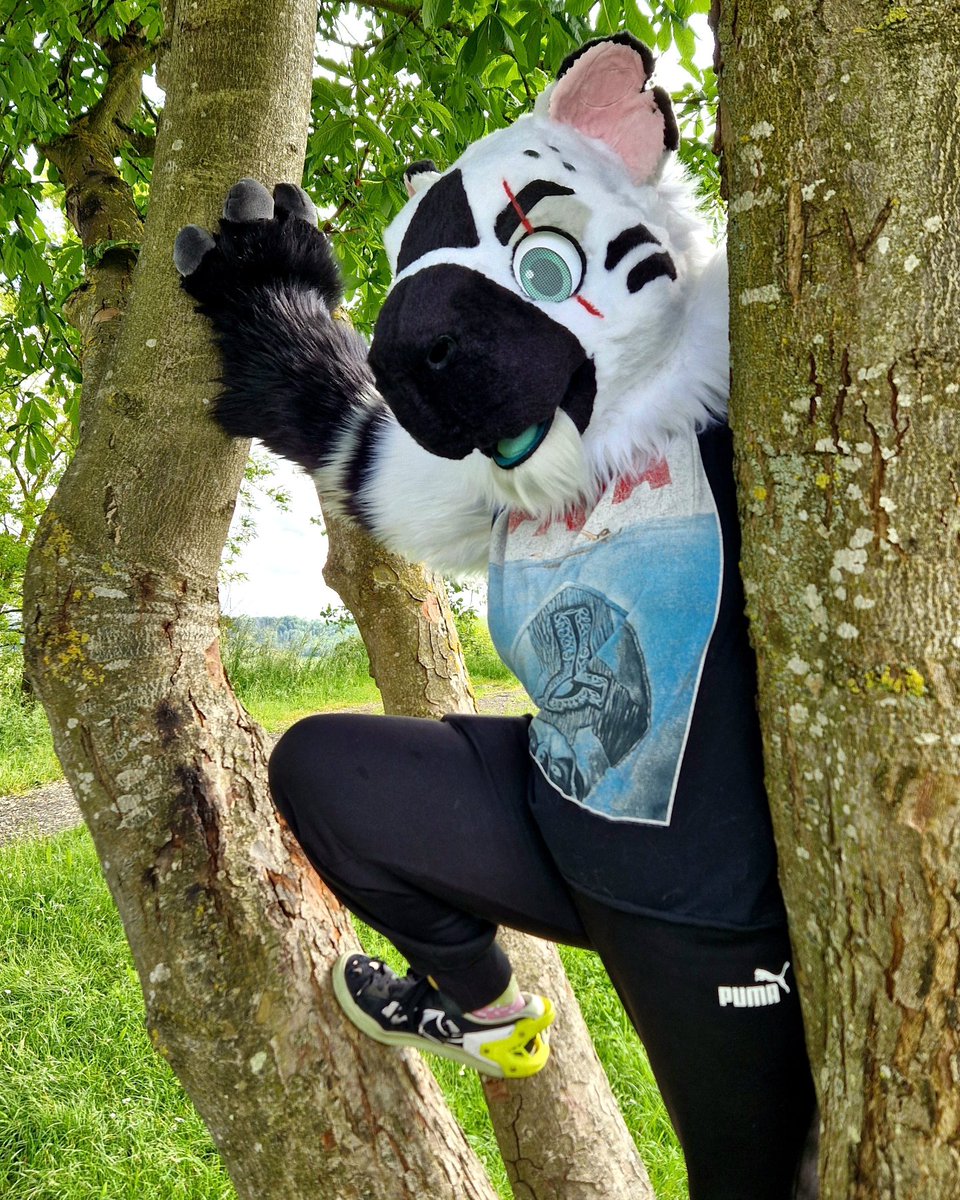 Reddox Creations tweet media