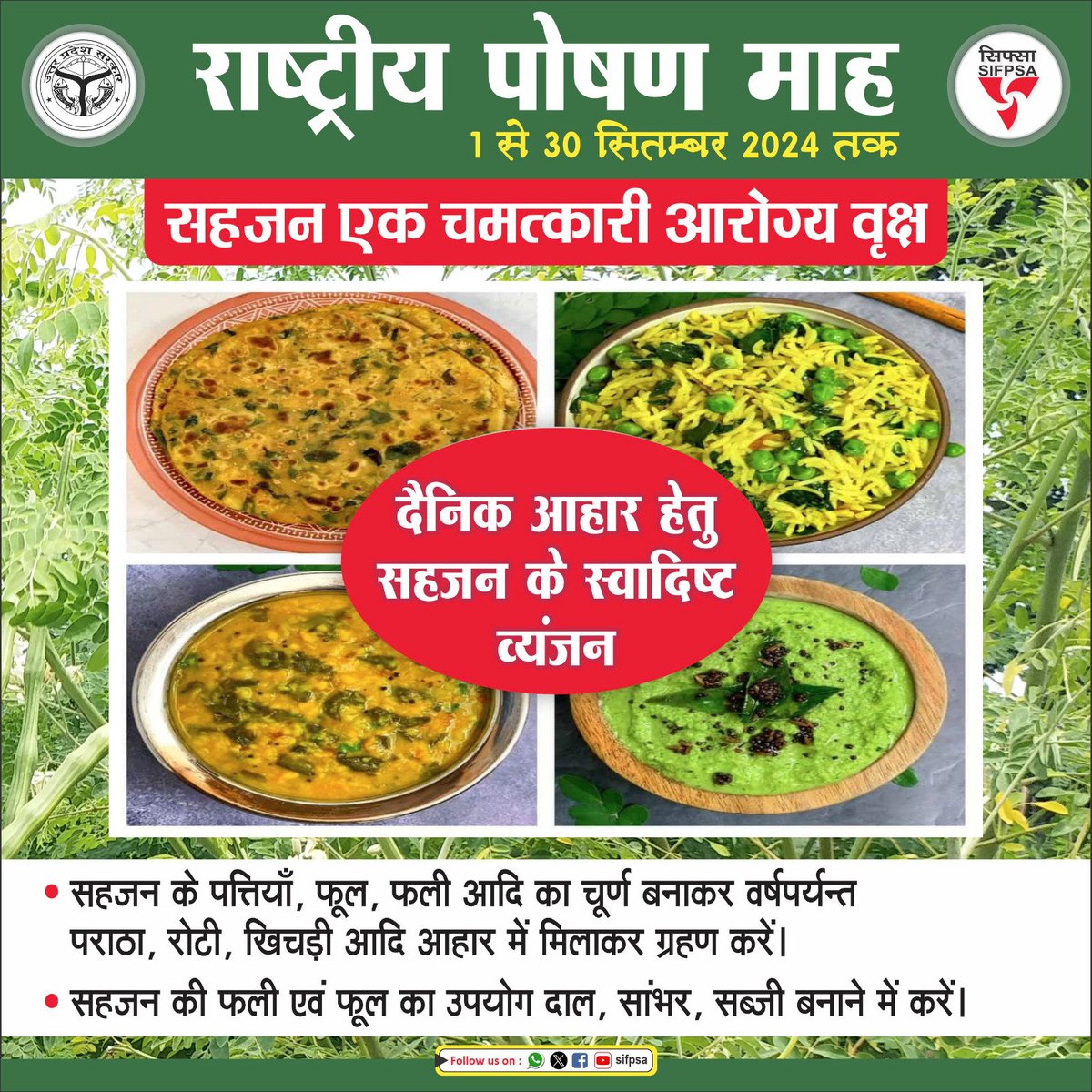 राष्ट्रीय पोषण माह 1 से 30 सिम्बर 2024 तक : सहजन के पत्तियां, फूल, फली आदि का चूर्ण बनाकर वर्षपर्यन्त अपने दैनिक आहार जैसे पराठा, रोटी, खिचड़ी आदि में मिलाकर भोजन के साथ ग्रहण किया जा सकता हैं। सहजन की फली का उपयोग दाल, सांभर, सब्जी बनाने में किया जा सकता हैं। आहार में सहजन का