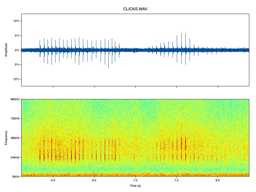 Open Acoustic Devices (@openacoustics) on Twitter photo First recording from <a href="/DorsetWildlife/">Dorset Wildlife Trust</a> of dolphin clicks recorded by an AudioMoth Dev and Aquarian H2A hydrophone on a free-floating bouy in Lyme Bay, UK. The buoy transmits GPS position over LoRa so it can be easily recovered. First recording from <a href="/DorsetWildlife/">Dorset Wildlife Trust</a> of dolphin clicks recorded by an AudioMoth Dev and Aquarian H2A hydrophone on a free-floating bouy in Lyme Bay, UK. The buoy transmits GPS position over LoRa so it can be easily recovered.