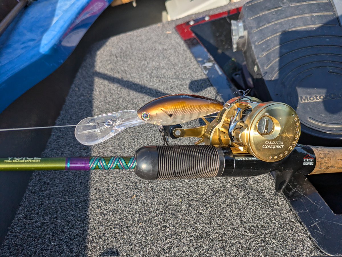 ロードランナー - Search / X