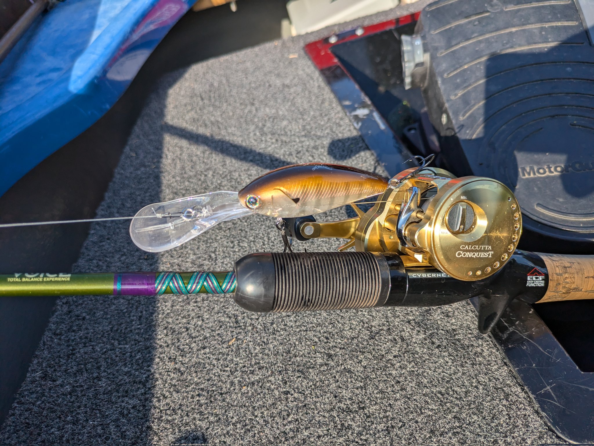 ロードランナー - Search / X