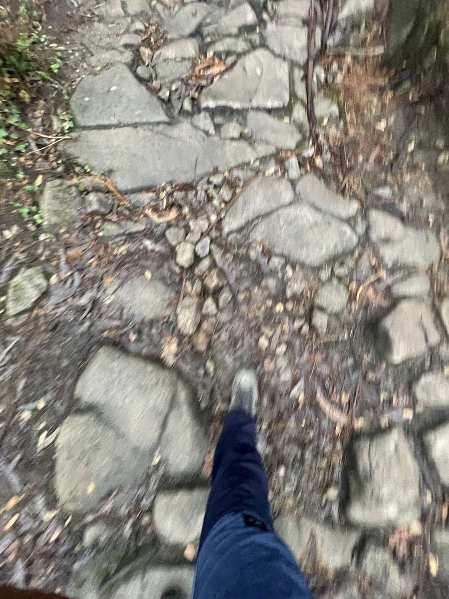 Marc Guyt tweet media