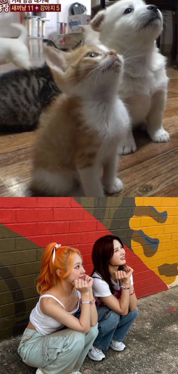 [💌☕️] 240823💬🐳