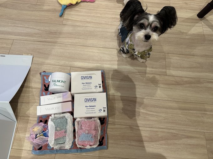 こちらも事務所に届いたのお家に届きました🥰🩷  VALMONTはいってる！🥺✨ うれしい🥰ありがとう🥰 https://t.co/pyXU2JM3Q5