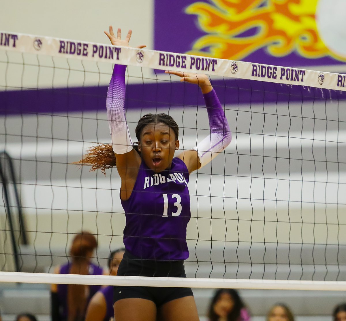 Bob Calbert tweet media