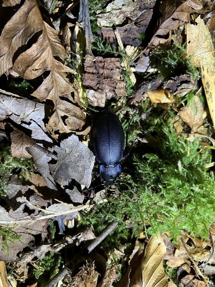 Dr Rosa Gleave tweet media