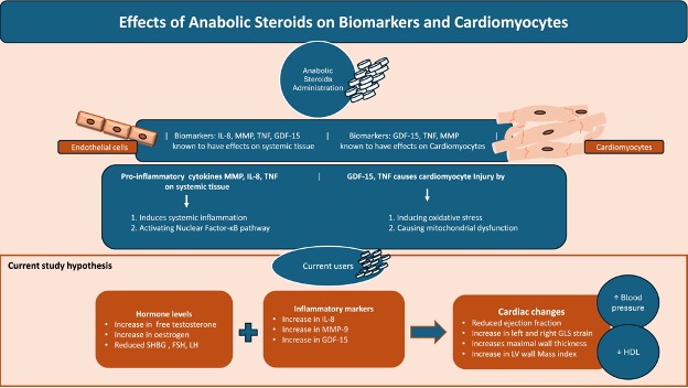 Prof Michael Papadakis (@michaelpapadak2) on Twitter photo Our editorial with <a href="/DrSaranMarwaha/">Dr Saran K Marwaha</a> on the effect of anabolic steroids in athletes and the interplay of hormones and inflammation #EJPC Still lots to learn! doi.org/10.1093/eurjpc…
Read the nice study by Gregersen I et al. doi.org/10.1093/eurjpc…
<a href="/AboyansV/">Victor Aboyans</a> Our editorial with <a href="/DrSaranMarwaha/">Dr Saran K Marwaha</a> on the effect of anabolic steroids in athletes and the interplay of hormones and inflammation #EJPC Still lots to learn! doi.org/10.1093/eurjpc…
Read the nice study by Gregersen I et al. doi.org/10.1093/eurjpc…
<a href="/AboyansV/">Victor Aboyans</a>