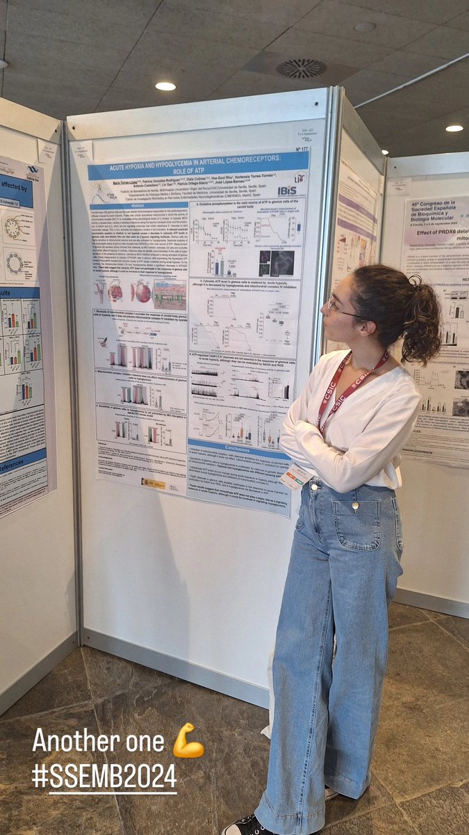 tlopez_maria's tweet photo. Además, presumo por aquí de póster donde os cuento un poquito más de nuestro "mitochondria-to-membrane" signalling model en el cuerpo carotídeo en respuesta a hipoxia y baja glucosa (en revisión, por cierto 🤩) https://t.co/thLz5Kr2lB