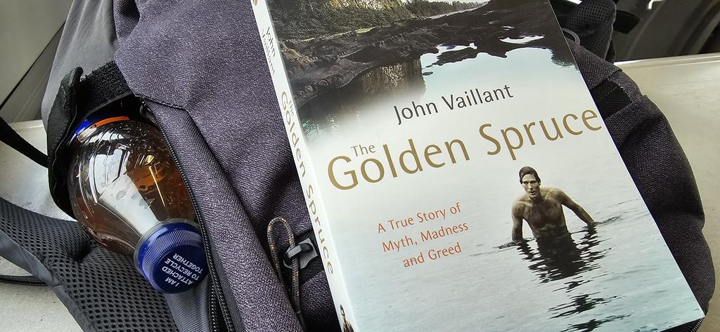 Dan Ridley-Ellis tweet media