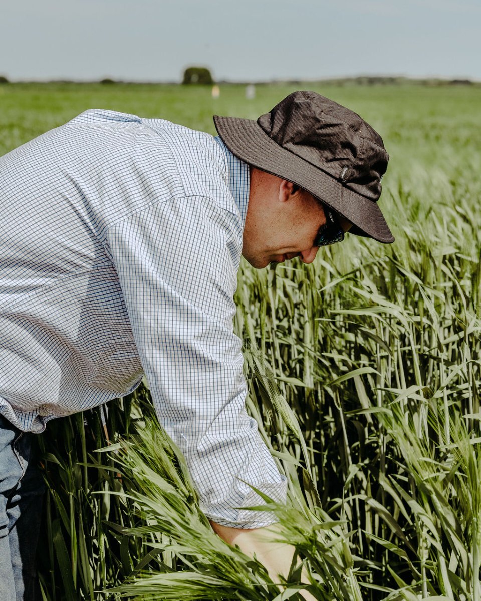 At Western AG, we are focused on meeting the farm production needs of our clients.