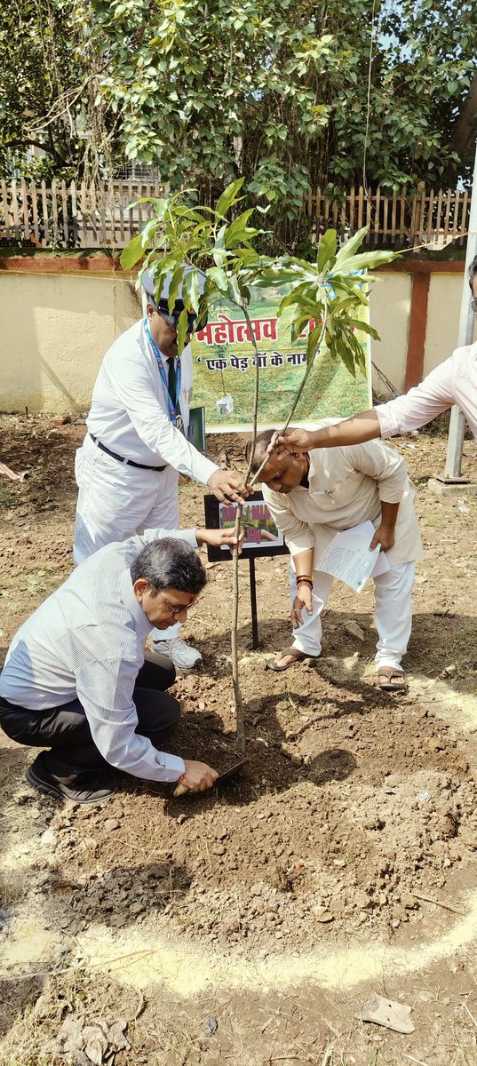 drmmalda's tweet photo. “Ek Ped Maa Ke Naam” Mass Tree Plantation Programme at Munger Railway colony.
Let’s honor the unconditional love of mothers by planting a tree today. 🌿 Every tree makes a difference. 🌍 #EkPedMaaKeNaam #SaveEarth #TreeForFuture https://t.co/7c16Qo7POj