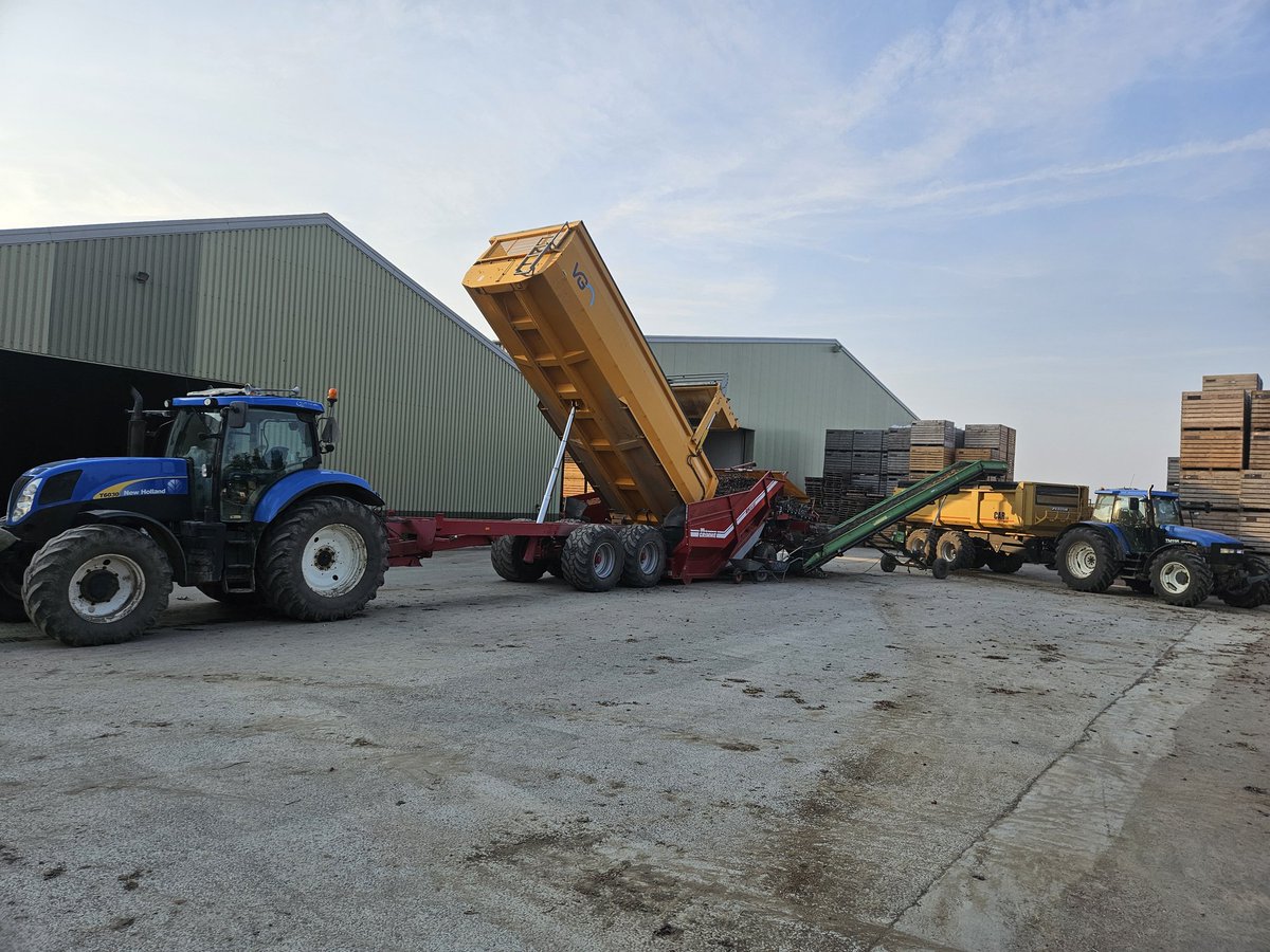 Eerste perceel uien in de schuur. Tevreden over opbrengst en kwaliteit. Hopelijk volgende week de rest. #akker