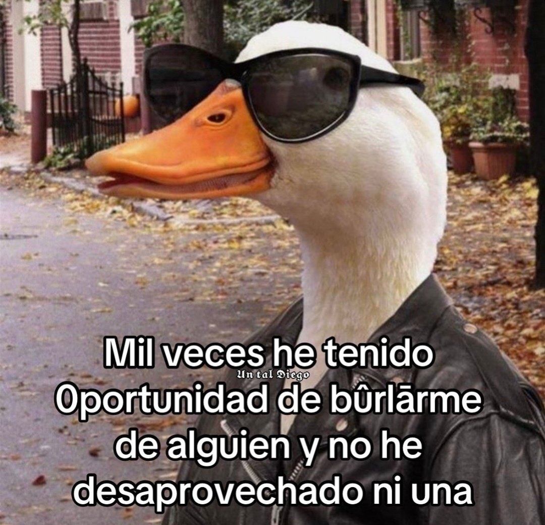 Frases Barbie (@barbie_context) on Twitter photo 