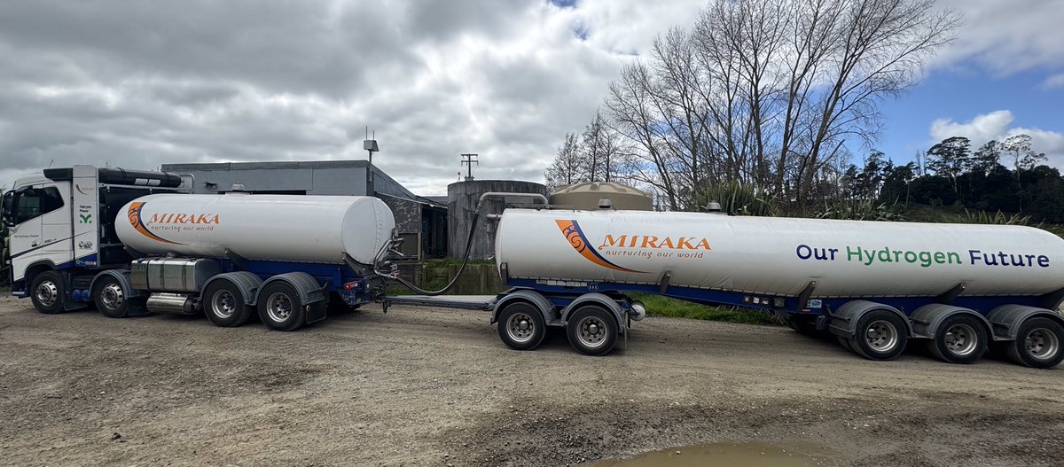 New milk tanker turned up at our cowshed today, driver reckons it runs as smooth on hydrogen as it used to on diesel. Milk powder factory where he carts back to is plugged into volcano, geothermal energy to fire boilers, no gas or coal. Low carbon milk anyone?