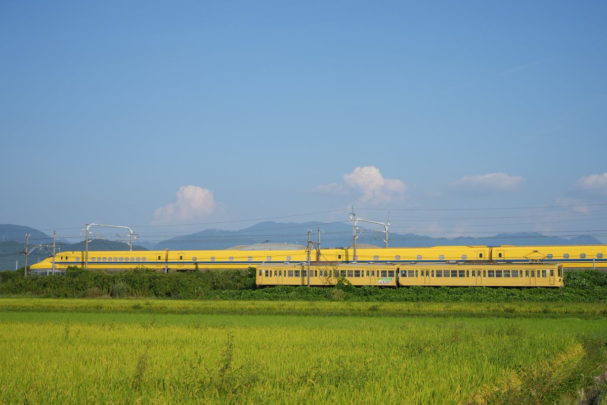 たくたく Takumi no Suicide Squad] 