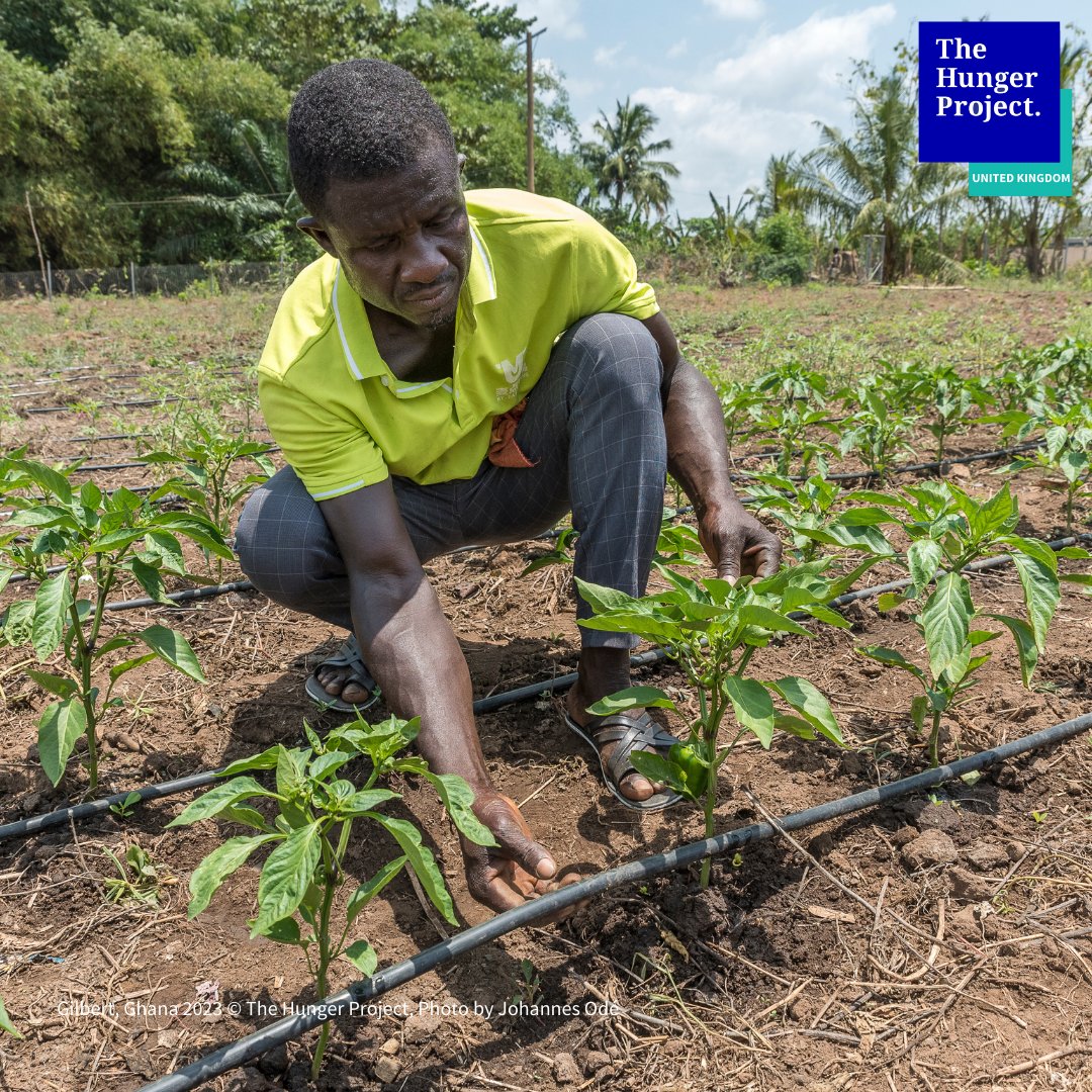 The Hunger Project (@hungerprojectuk) on Twitter photo Sustainable agriculture starts with access to water. In Ghana, we’re working with local farmers to develop irrigation systems that nurture crops and support year-round harvests. 🌾💧 By investing in farmers, we're cultivating stronger communities. 
thehungerproject.org.uk Sustainable agriculture starts with access to water. In Ghana, we’re working with local farmers to develop irrigation systems that nurture crops and support year-round harvests. 🌾💧 By investing in farmers, we're cultivating stronger communities. 
thehungerproject.org.uk