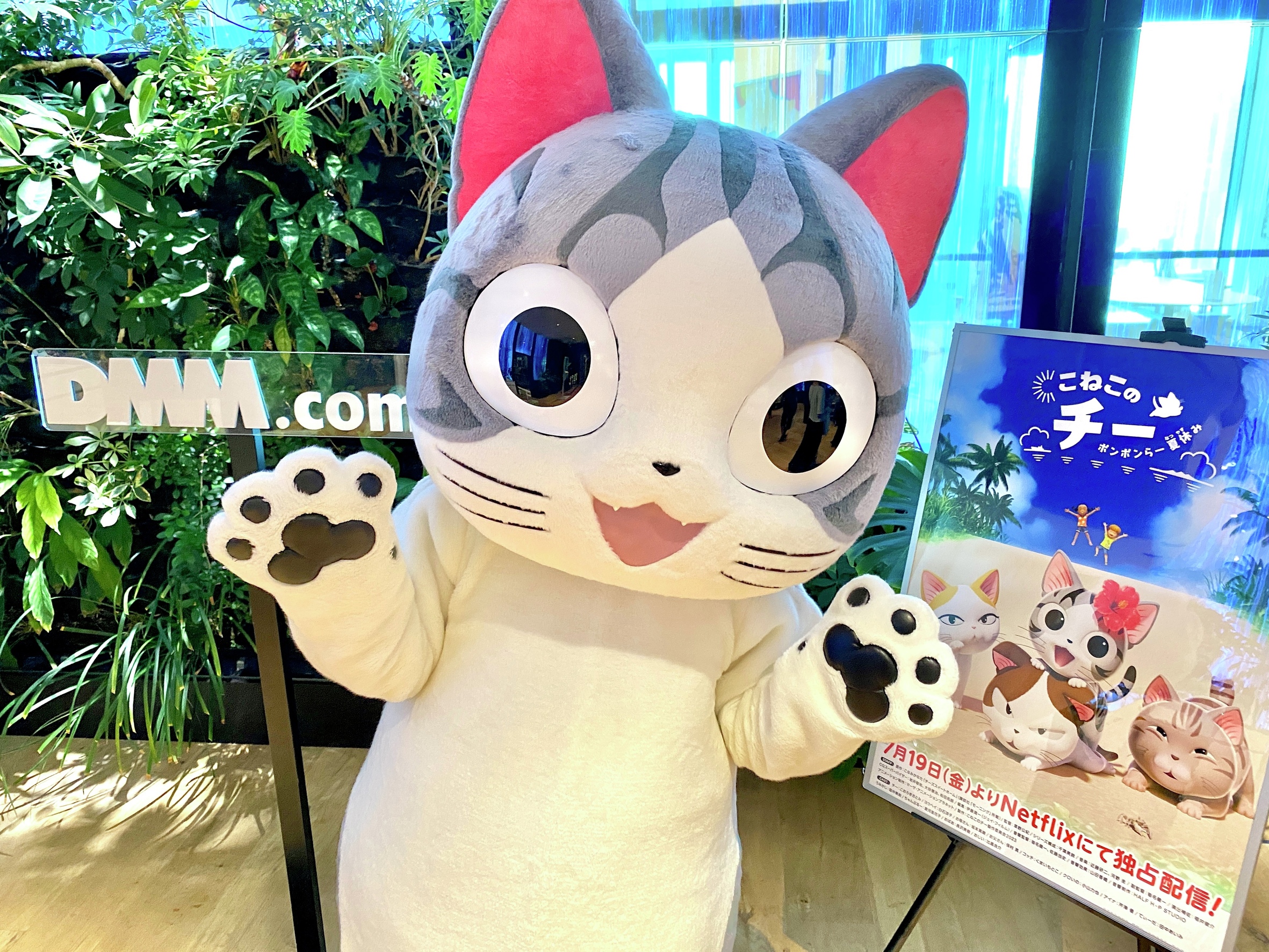 こねこのチー チー 面倒くさく コッチ ぬいぐるみ こねこのチー チー 面倒くさく コッチ ぬいぐるみ