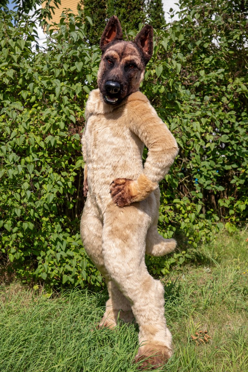 Arahn_Doberman's tweet image. The Malinois fullsuit auction ends tomorrow

thedealersden.com/listing/malino…

Retweet for a chance to win 4 paw ice molds

At the end of the auction, one random lucky winner will be chosen
International shipping included!