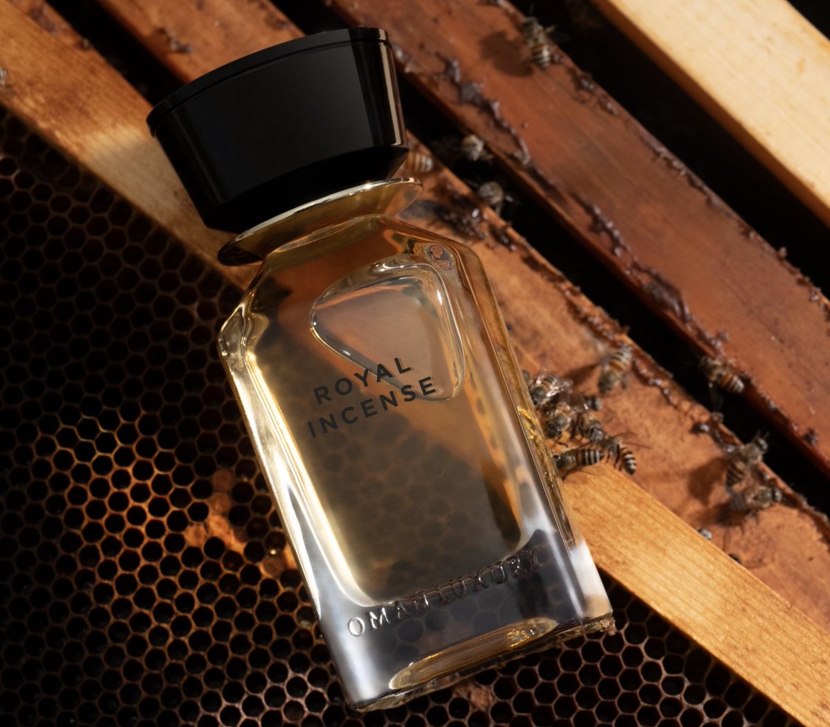 اللبان والعسل

الفخامة العمانية قدمت اللبان العماني الفاخر في أبهى وأفخم صورة ممكنة ❤️