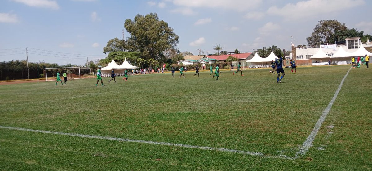 Balling for the warriors