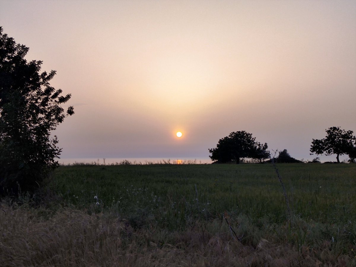 See Cyprus 🇨🇾 (MOVED ON TO #NOSTR) tweet media