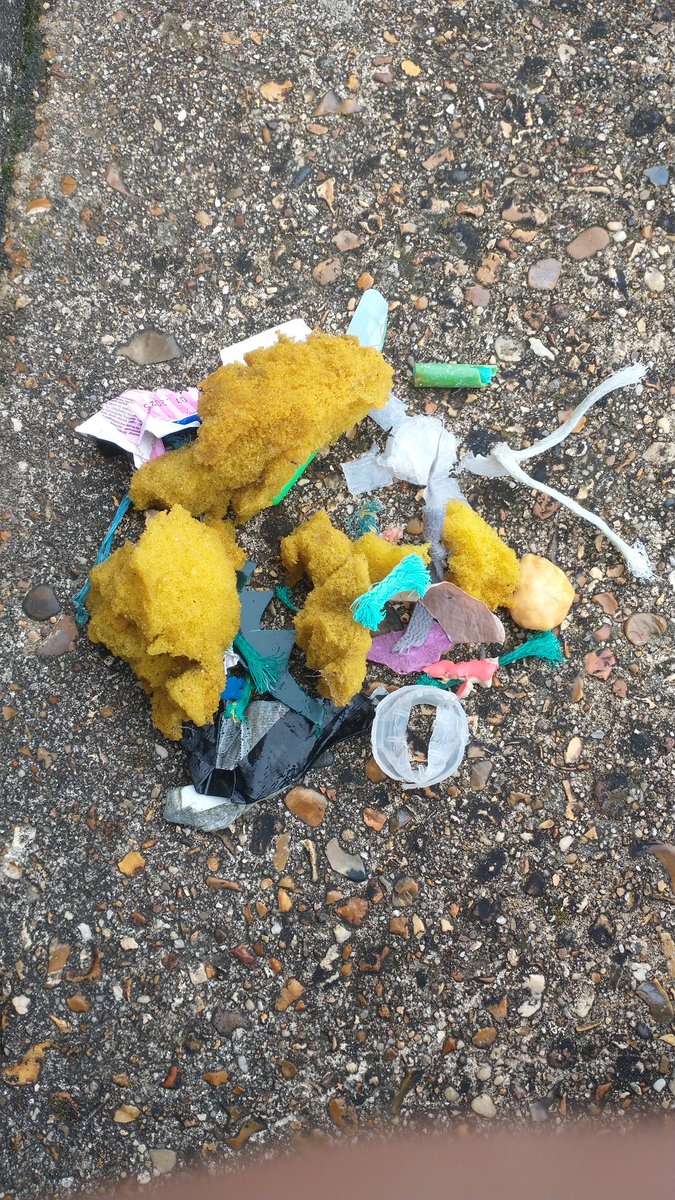 SI units struggle to convey the real impact of marine micro-plastics - we need new ones.
This can be one gannetful (gntfl) = 0.25 albatrossfuls (abtsfl).
5 minute litter pick. #leeonthesolent