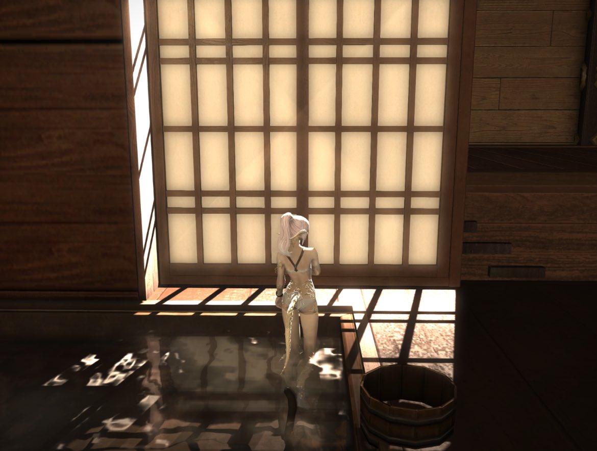 wisecatio's tweet image. 