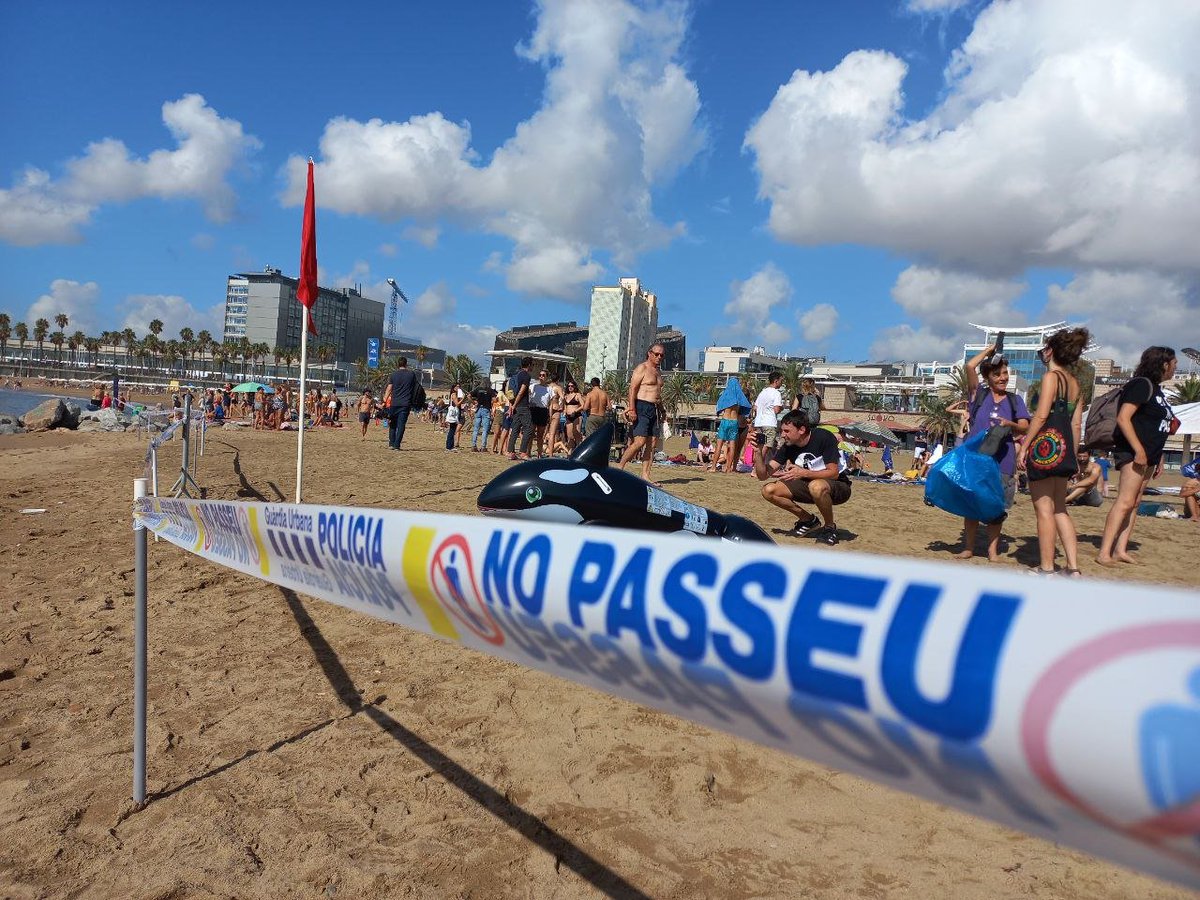 La_Directa's tweet photo. #ÚLTIMAHORA | Els Mossos d'Esquadra prohibeixen el bany a les manifestants que protesten contra la #CopaAmèrica a la platja del Somorrostro d'acord amb una normativa que no existeix https://t.co/L1uPcje2wk Per @albertmartnez. Fotos: @Adriana_Pimente https://t.co/aupgHoukpA