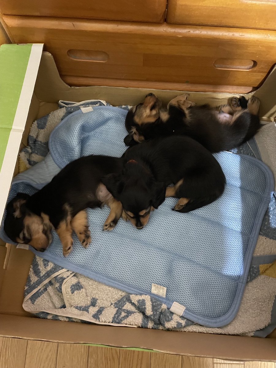 芳地 一也 (@kazuya_houchi) • Instagram photos and videos, image size:900x1200