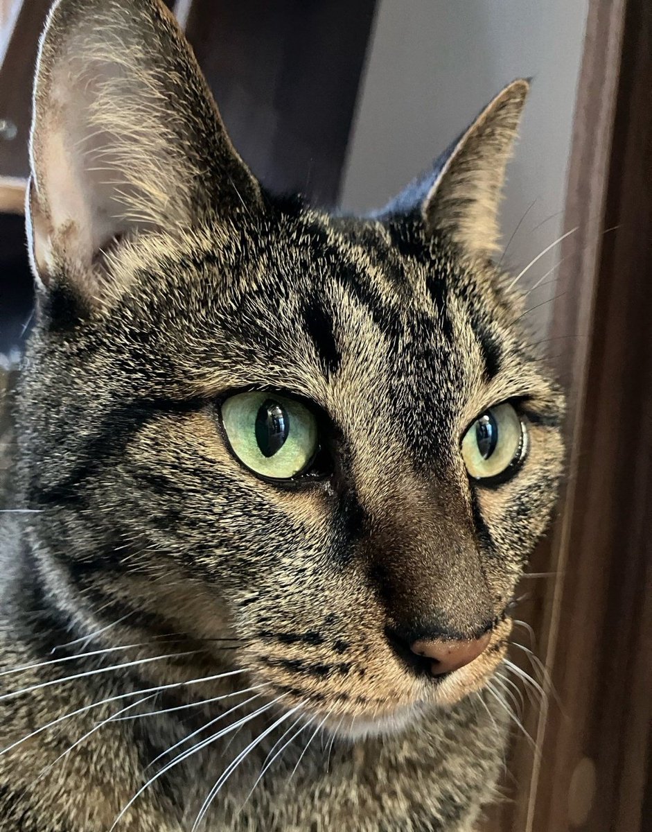 今日大掃除したけど汗がやばい