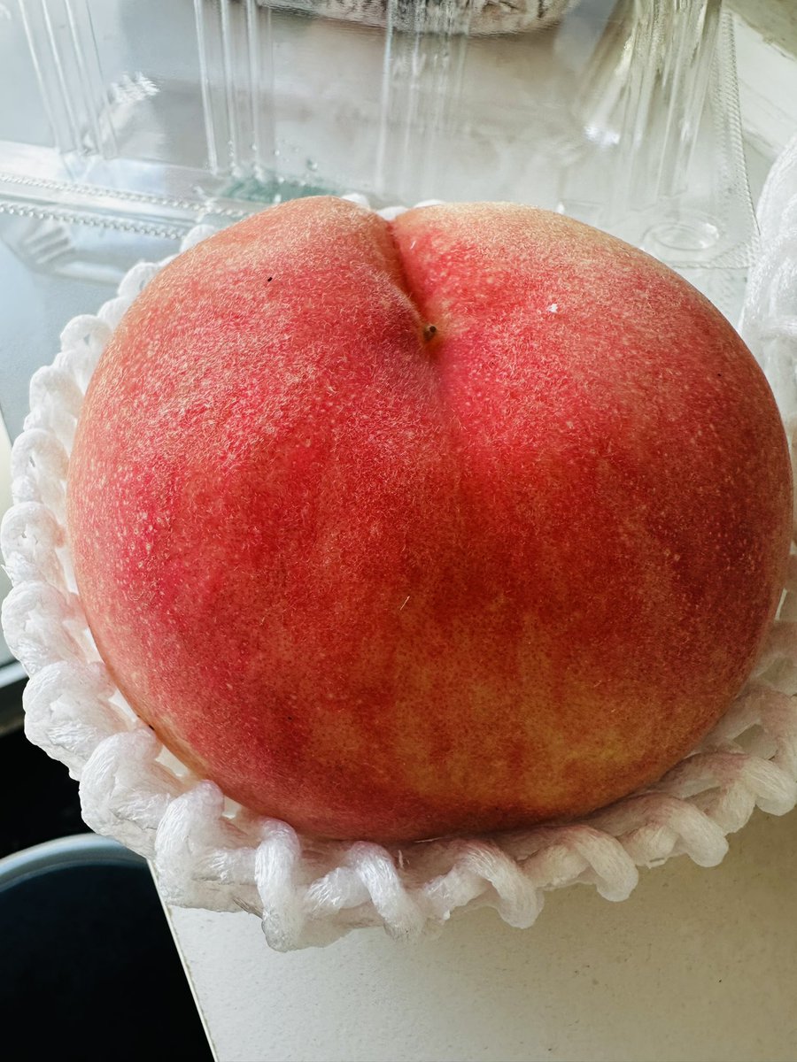 Korean dessert SOL tweet media