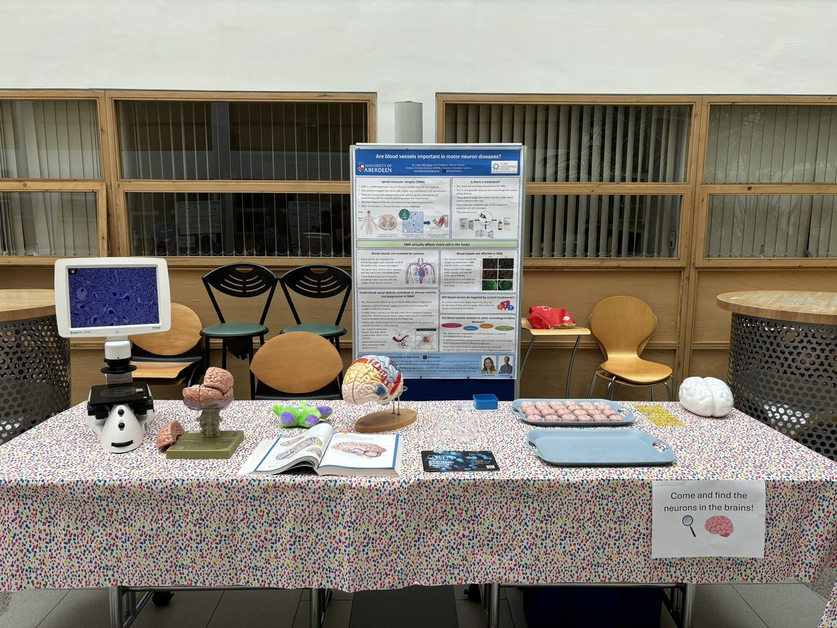 hazelAllardyce_'s tweet image. Its doors open day at the @aberdeenuni!
Come along to the Institute of Medical Sciences and find the neurons in our brains 🧠
@ParsonLab @AberdeenNeuro